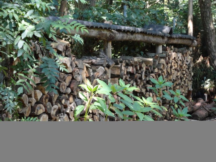 Natuurlijke afscheiding / Afdak voor haardhout